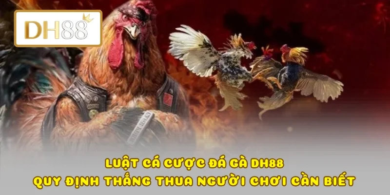Luật Cá Cược Đá Gà DH88 - Quy Định Thắng Thua Người Chơi Cần Biết