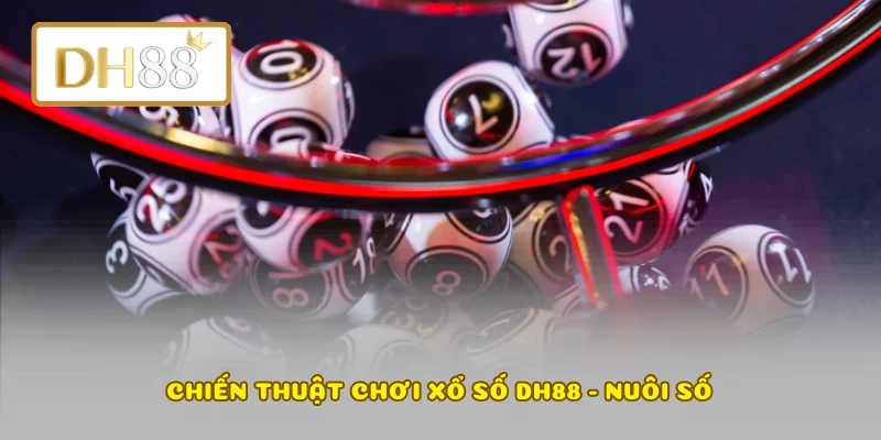 Chiến thuật chơi xổ số DH88 - Nuôi số